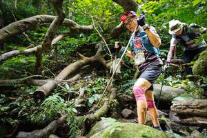 BIB: 
                            <button type="button" onclick="openModal(19407322)" class="btn btn-primary btn-sm float-right btn-popup" data-toggle="modal" data-target=".modal-high-quality">
                        <i class="fas fa-shopping-cart"></i> Add to Cart
                    </button>
                                            <button type="button" onclick="isThisMe(19407322, true)" class="btn btn-success btn-sm float-right btn-popup btn-isme hidden" data-toggle="tooltip" data-placement="bottom" title="นี่คือรูปของคุณใช่ไหม คลิกที่นี่เพื่อเอาเข้าอัลบั้ม">
                        <i class="fas fa-plus"></i> Add to album
                    </button>
                    <button type="button" onclick="isThisMe(19407322, false)" class="btn btn-warning btn-sm float-right btn-popup btn-isnotme hidden">
                        <i class="fas fa-ban"></i> Remove from album
                    </button>